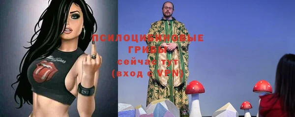 гашик Армянск