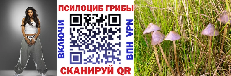 Галлюциногенные грибы мухоморы  Судогда 